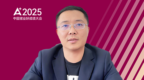 赵晓刚